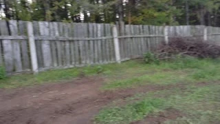 Видео превью