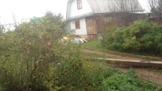 Видео превью