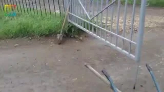 Видео превью