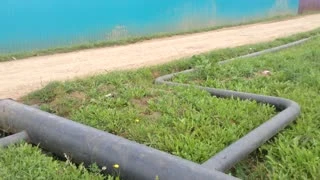 Видео превью